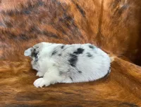 processed/fe0a8bb5-47cc-4616-8983-9e8bf823c40c/listing/05f4843e-e8bd-4477-8737-eecbaa6db932/efccbf2a-da36-4712-819e-8b9ee41c92ae