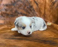 processed/fe0a8bb5-47cc-4616-8983-9e8bf823c40c/listing/05f4843e-e8bd-4477-8737-eecbaa6db932/f4c54bb2-e5b6-43b0-a313-fc98248e5163