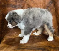 processed/fe0a8bb5-47cc-4616-8983-9e8bf823c40c/listing/1722e074-563a-46c2-960f-f460dccf0453/02fc2dc5-2fc3-4250-9aad-d7867739a336