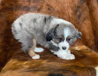 processed/fe0a8bb5-47cc-4616-8983-9e8bf823c40c/listing/1722e074-563a-46c2-960f-f460dccf0453/1d884697-fab9-4f1f-81dc-ee96d0ccb01d