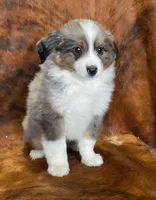 processed/fe0a8bb5-47cc-4616-8983-9e8bf823c40c/listing/1722e074-563a-46c2-960f-f460dccf0453/1e94dfc5-75f3-4396-bd38-01bd55788c1d