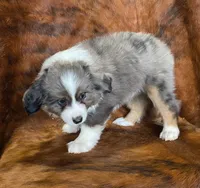 processed/fe0a8bb5-47cc-4616-8983-9e8bf823c40c/listing/1722e074-563a-46c2-960f-f460dccf0453/26d120ec-b6f9-464c-9b90-dacf6f0afc21