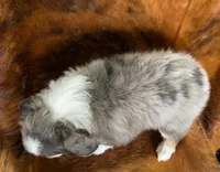 processed/fe0a8bb5-47cc-4616-8983-9e8bf823c40c/listing/1722e074-563a-46c2-960f-f460dccf0453/2a1bb29e-a96c-41af-ad6d-010dcb1b8f15