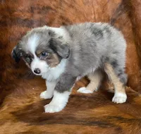 processed/fe0a8bb5-47cc-4616-8983-9e8bf823c40c/listing/1722e074-563a-46c2-960f-f460dccf0453/74c394f8-50b4-46a6-b82c-6d2b5c3f82e8