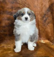 processed/fe0a8bb5-47cc-4616-8983-9e8bf823c40c/listing/1722e074-563a-46c2-960f-f460dccf0453/b1d57d47-9397-4e58-888f-c31e2e3fce8b