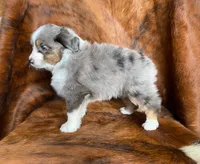 processed/fe0a8bb5-47cc-4616-8983-9e8bf823c40c/listing/1722e074-563a-46c2-960f-f460dccf0453/c25de6d5-df09-4d7e-bcb3-8cea983996e2