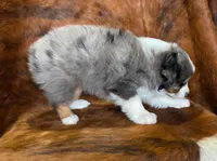 processed/fe0a8bb5-47cc-4616-8983-9e8bf823c40c/listing/1722e074-563a-46c2-960f-f460dccf0453/c8ef9240-fd3a-470b-ad42-b9eac25125ad