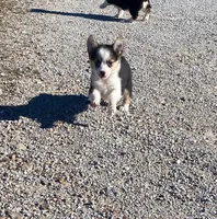 processed/fe0a8bb5-47cc-4616-8983-9e8bf823c40c/listing/27bc1f73-7525-46bd-b094-9be5ed9db23d/2742ee2f-28c4-4eb1-9171-b4bbf5e6003f