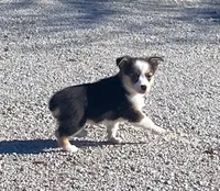 processed/fe0a8bb5-47cc-4616-8983-9e8bf823c40c/listing/27bc1f73-7525-46bd-b094-9be5ed9db23d/39e55b18-11a2-4d0c-8c8d-cf91ed42b119