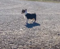 processed/fe0a8bb5-47cc-4616-8983-9e8bf823c40c/listing/27bc1f73-7525-46bd-b094-9be5ed9db23d/5f3713e8-66d8-49e2-b9fd-7ef3c1e53394