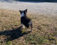 processed/fe0a8bb5-47cc-4616-8983-9e8bf823c40c/listing/27bc1f73-7525-46bd-b094-9be5ed9db23d/93b922f2-91c1-444b-9bd4-f50ef8f2b71f