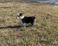 processed/fe0a8bb5-47cc-4616-8983-9e8bf823c40c/listing/27bc1f73-7525-46bd-b094-9be5ed9db23d/afba3c00-ce24-40f7-9df8-038bba81c050