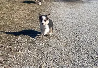 processed/fe0a8bb5-47cc-4616-8983-9e8bf823c40c/listing/27bc1f73-7525-46bd-b094-9be5ed9db23d/c9b34dee-a224-4b84-82ce-43f1f5f99f44