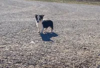 processed/fe0a8bb5-47cc-4616-8983-9e8bf823c40c/listing/27bc1f73-7525-46bd-b094-9be5ed9db23d/d3ad6e8b-72f6-4f99-b4e1-ddf6fe4f2a84