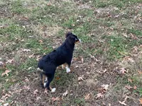 processed/fe0a8bb5-47cc-4616-8983-9e8bf823c40c/listing/2cac3b7f-7e53-43d8-ae63-4d0243bcad9b/14c3cf24-66f6-4fcf-944a-bad170d3c574