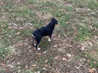 processed/fe0a8bb5-47cc-4616-8983-9e8bf823c40c/listing/2cac3b7f-7e53-43d8-ae63-4d0243bcad9b/26f14df2-1b47-47b6-8697-ebf2914f324d