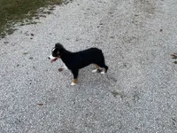 processed/fe0a8bb5-47cc-4616-8983-9e8bf823c40c/listing/2cac3b7f-7e53-43d8-ae63-4d0243bcad9b/4b631a08-b3a5-4479-801c-6ac05c628657