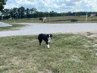 processed/fe0a8bb5-47cc-4616-8983-9e8bf823c40c/listing/2cac3b7f-7e53-43d8-ae63-4d0243bcad9b/4c052f52-0537-4688-bcfc-59ed8235cd29