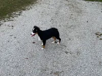 processed/fe0a8bb5-47cc-4616-8983-9e8bf823c40c/listing/2cac3b7f-7e53-43d8-ae63-4d0243bcad9b/81d6b988-85ed-4ce3-b04b-318a6e937afb