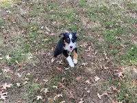 processed/fe0a8bb5-47cc-4616-8983-9e8bf823c40c/listing/2cac3b7f-7e53-43d8-ae63-4d0243bcad9b/8fbdc5ab-5028-474d-af7f-bf58abb344ed