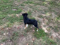 processed/fe0a8bb5-47cc-4616-8983-9e8bf823c40c/listing/2cac3b7f-7e53-43d8-ae63-4d0243bcad9b/b9fd1b35-2dd8-49cd-8330-1795443e37ae