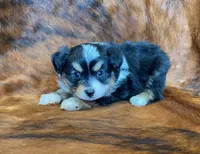 processed/fe0a8bb5-47cc-4616-8983-9e8bf823c40c/listing/99ca880d-8740-4393-af5a-d33fed1b7ff8/04e88f0a-2d92-47cc-9c47-dc30d24da28b