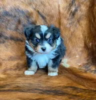 processed/fe0a8bb5-47cc-4616-8983-9e8bf823c40c/listing/99ca880d-8740-4393-af5a-d33fed1b7ff8/461e03c6-df2e-4f5d-8f1c-3f9dfee40918