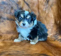 processed/fe0a8bb5-47cc-4616-8983-9e8bf823c40c/listing/99ca880d-8740-4393-af5a-d33fed1b7ff8/4cefb6e7-9e39-4e89-a094-7c328122f191