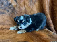 processed/fe0a8bb5-47cc-4616-8983-9e8bf823c40c/listing/99ca880d-8740-4393-af5a-d33fed1b7ff8/56cfb0d5-62ec-4adb-b8b8-6bfe356a9caa