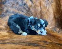 processed/fe0a8bb5-47cc-4616-8983-9e8bf823c40c/listing/99ca880d-8740-4393-af5a-d33fed1b7ff8/57fb75f9-b881-4c2c-9b5a-e874c509d960