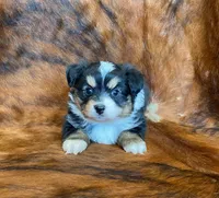 processed/fe0a8bb5-47cc-4616-8983-9e8bf823c40c/listing/99ca880d-8740-4393-af5a-d33fed1b7ff8/6d0d37cc-aea0-4bf2-b5ea-1cdc718e9afb