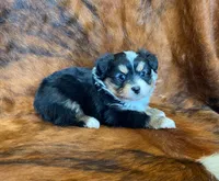 processed/fe0a8bb5-47cc-4616-8983-9e8bf823c40c/listing/99ca880d-8740-4393-af5a-d33fed1b7ff8/6fb30cf4-7ce9-431d-a55e-e5f574cd0a69