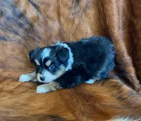 processed/fe0a8bb5-47cc-4616-8983-9e8bf823c40c/listing/99ca880d-8740-4393-af5a-d33fed1b7ff8/ad0c8c5e-ef99-42a0-ba3f-2572ca335b90