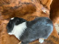 processed/fe0a8bb5-47cc-4616-8983-9e8bf823c40c/listing/df96224c-8a2e-437d-9d2f-b0b229663659/22779b82-a2a4-4b26-b6eb-7e02d24f5acf