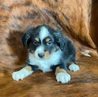 processed/fe0a8bb5-47cc-4616-8983-9e8bf823c40c/listing/df96224c-8a2e-437d-9d2f-b0b229663659/747c0fe7-af70-49a4-9627-a11f2281eed9