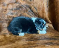 processed/fe0a8bb5-47cc-4616-8983-9e8bf823c40c/listing/df96224c-8a2e-437d-9d2f-b0b229663659/80b5c0a7-e80a-4ebc-83fb-2c53aa331481