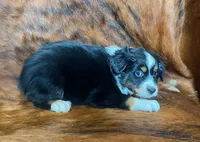 processed/fe0a8bb5-47cc-4616-8983-9e8bf823c40c/listing/df96224c-8a2e-437d-9d2f-b0b229663659/b8e65ecb-e700-4a0d-abd0-77cb67352be2