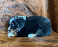 processed/fe0a8bb5-47cc-4616-8983-9e8bf823c40c/listing/df96224c-8a2e-437d-9d2f-b0b229663659/baef3079-2314-4092-b70a-d4ed4ed52a77