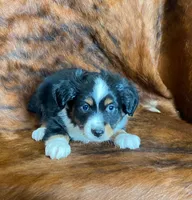 processed/fe0a8bb5-47cc-4616-8983-9e8bf823c40c/listing/df96224c-8a2e-437d-9d2f-b0b229663659/fc192a5b-9a63-4103-9743-f03017753c55