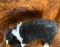 processed/fe0a8bb5-47cc-4616-8983-9e8bf823c40c/listing/f15a4191-f371-47d0-8815-4969bec82d82/13231774-701c-44d9-926f-2c2a80adbeda