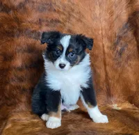 processed/fe0a8bb5-47cc-4616-8983-9e8bf823c40c/listing/f15a4191-f371-47d0-8815-4969bec82d82/23ee7418-34c8-41ac-8265-c3908875329b