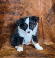 processed/fe0a8bb5-47cc-4616-8983-9e8bf823c40c/listing/f15a4191-f371-47d0-8815-4969bec82d82/4c631e10-f65f-4a21-87eb-3c4c8bae53ae