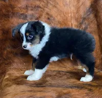 processed/fe0a8bb5-47cc-4616-8983-9e8bf823c40c/listing/f15a4191-f371-47d0-8815-4969bec82d82/b65fdc30-f93d-43c0-9544-a9fc2354e421