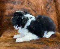 processed/fe0a8bb5-47cc-4616-8983-9e8bf823c40c/listing/f279e58c-bb88-40a5-bb00-44fc741dbb72/3799868b-1ca0-4105-8a51-1462a565b669