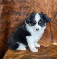 processed/fe0a8bb5-47cc-4616-8983-9e8bf823c40c/listing/f279e58c-bb88-40a5-bb00-44fc741dbb72/405af827-b851-4c2f-ac47-d85819392dab