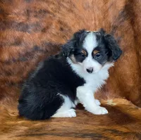 processed/fe0a8bb5-47cc-4616-8983-9e8bf823c40c/listing/f279e58c-bb88-40a5-bb00-44fc741dbb72/7c1be1c7-0c81-458f-8d88-27ff66d6ddc0