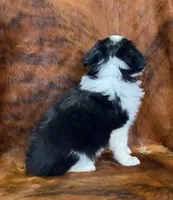 processed/fe0a8bb5-47cc-4616-8983-9e8bf823c40c/listing/f279e58c-bb88-40a5-bb00-44fc741dbb72/a1a260fa-eb4d-48be-91f1-96f28b7c88b0