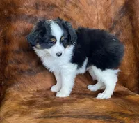 processed/fe0a8bb5-47cc-4616-8983-9e8bf823c40c/listing/f279e58c-bb88-40a5-bb00-44fc741dbb72/bb1c251a-a5df-4c72-813c-fd27c01bbeed