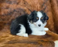 processed/fe0a8bb5-47cc-4616-8983-9e8bf823c40c/listing/f279e58c-bb88-40a5-bb00-44fc741dbb72/c172ce37-06c9-4676-bf8b-639b2863386c