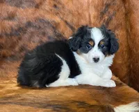 processed/fe0a8bb5-47cc-4616-8983-9e8bf823c40c/listing/f279e58c-bb88-40a5-bb00-44fc741dbb72/c816082e-ca62-4118-88a7-c1462d9e255d